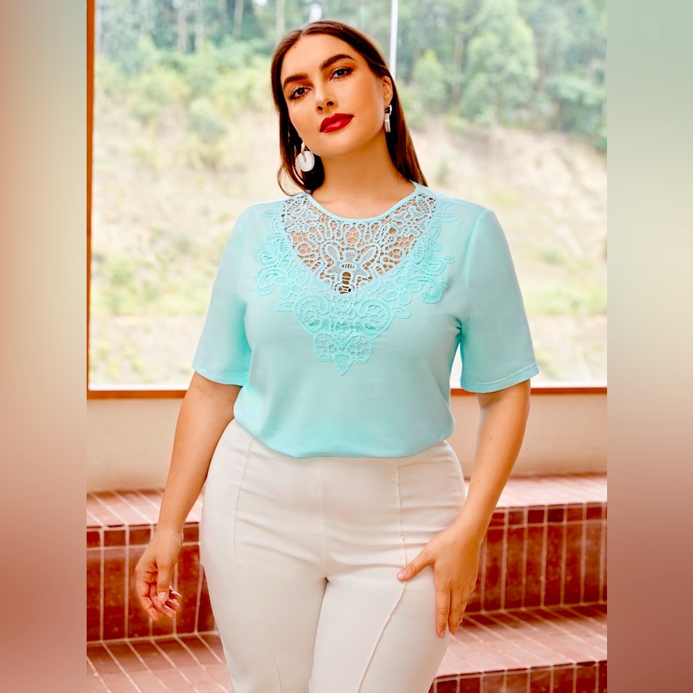 Plus size delicate top.
